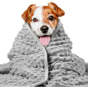 LaSyL Weighted Blanket for Pets | Thunder Blanket for Dogs Anxiety | Premium Soft Minky | Relaxation & Calming & Anti Anxiety | Used in Car, Bed, Couch | Dark Grey, Washable Medium (32"x40")