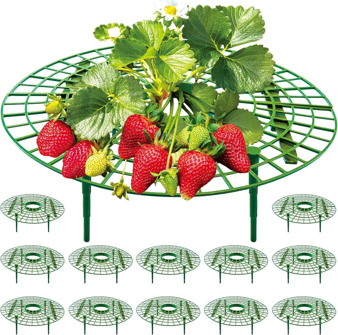12 Pack Strawberry Supports, strawberry holder plants live for planting,Strawberry Growing Frame, Strawberry Trellis for Keeping Fruit Elevated to Avoid Ground Rot (green-12 pack)