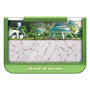 Ant Farm - Rainforest - Green - Uncle Milton Scientific Educational Toy