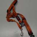 HALTI Headcollar - to Stop Your Dog Pulling on The Leash. Adjustable, Reflective and Lightweight, with Padded Nose Band. Dog Training Anti-Pull Collar for Medium Dogs (Size 2, Burnt Orange)