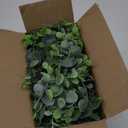 DearHouse Faux Eucalyptus Garland Plant, 2 Pack Artificial Vines Hanging Eucalyptus Leaves Greenery Garland for Wedding Backdrop Arch Wall Decor, 6 Feet/pcs UV Protected Indoor Outdoor