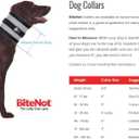 Collar, 8" W x 32" L