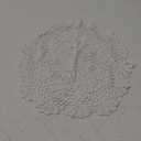 Hetao 100% Cotton Handmade Crochet Round Doilies Lace Doily Tablecloth Doilies Lace Placemats, White, 19 Inch