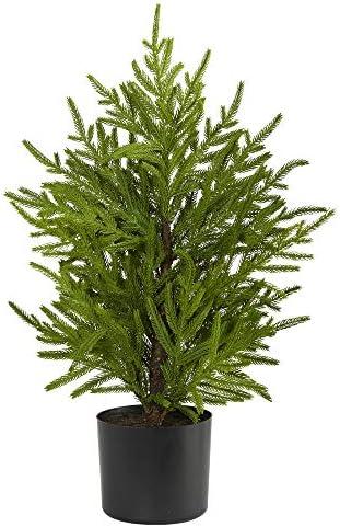 Nearly Natural 2ft. Norfolk Island Pine Natural Look Artificial Tree in Decorative Planter