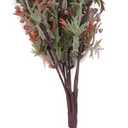 Sunnyskar Plastic Artificial Plants Green Grass Plastic Flower Plant Wedding Home Decoration Table Decors - (Color: Red)