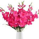 IPOPU 10 PCS Gladiolus Artificial Flowers Bulk 30.3 in Gladiolus Flowers Silk Gladiolus Flowers with Stems Artificial Gladiolus Flowers Faux Gladiolus for Home Wedding Office Decoration(Hot Pink)