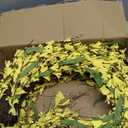 Bibelot 26 Inch Spring Wreaths for Front Door, Large Artificial Forsythia Flowers Wreath, Spring Summer Floral Wreath All Season for Home, Wall, Window, Porch, Wedding, Farmhouse Decor (Yellow)