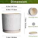 Eightpot 8 Inch Plant Pot, Ceramic Planter for Indoor Plants Outdoor, Round Planter with Drainage Hole and Tray, Boho Flower Pot, Decorative Pots for Plants, Home Decor, Plant Lover Gifts, White