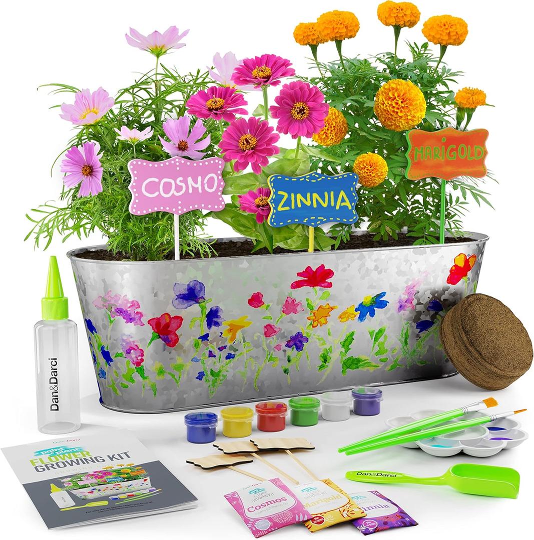 Dan&Darci Paint & Plant Flower Growing Kit for Kids - Gift Ideas Age 5 6 7 8-12 Year Old Girl - Birthday Crafts Gifts for Girls & Boys, Fun Children Gardening Kits, Art Projects for Ages 5-12 Years