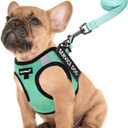 FAYOGOO Service Dog Vest Set for Small Dogs, Mesh Harness and Leash