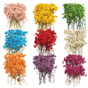QinXunTa 9 Pack Dried Flowers, Natural Pressed Flowers Kit for DIY Crafts, Scrapbook, Card Making,9 Colors