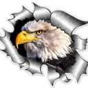 Eagles Decal American Flag Eagle Decal Logo Sticker Fits Car Hood Decal Bonnet Side Univeral Birds Hawk Eagle Stickers Window Decals For Vehicles Emblem Badge Auto Styling Car Graphics (15x14cm Eagle)