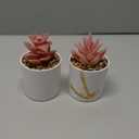 Der Rose Set of 2 Succulents Plants Artificial Mini Fake Succulents Plants for Office Desk Accessories for Women Pink Home Vanity Decor
