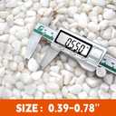 10lb Natural Polished White Pebbles, 1/2 Inch Decorative Rocks