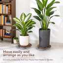 2 Pack Plant Stand Indoor and Outdoor, 12IN Premium Wooden Plant Caddy with Wheels, Heavy Duty Plant Stands with 360° Lockable Wheels, Classic Plant Cart
