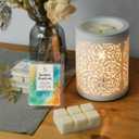 2 x Earnest Living Scented Wax Fragrance Melts Summer Daydream White Musk Grapefruit Patchouli Bergamot Amber Wax Cubes Pack Home Warmer Tart Electric Candle Air Freshener Aroma Decor Gift 2.5 oz (2-Pack)