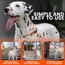 HowGo Slip Lead Dog Leash with Padded Handles | Lightweight Dog Training Leash with 360Swivel Anti-Tangle | Heavy-Duty Lead and Collar for Large Medium and Small, No-Pull Walking (Orange, 5.0FT)