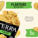 2 x Terra Plantains Real Sea Salt Vegetable Chips 5 oz (5 Ounce (Pack of 1))