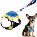 No Pull Dog Harness, 2 in 1 Retractable Harness with Auto-Lock, Reflective Breathable Mesh and Handle, Adjustable Leash Set for Small, Medium,Large Dogs,Cats (Color 2, S)