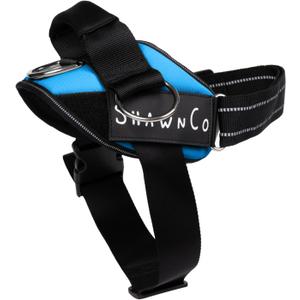 ShawnCo Essential Pro Dog Harness, No-Pull Pet Vest with 3 Leash Clips and Removable, Reflective Side Patches, Adjustable and Padded Harness for Small, Medium and Large Dogs (Oceanic Blue, S)