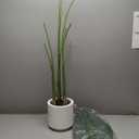 Artificial Bird of Paradise Plant 5Ft Tall Fake Tropical Palm Tree Large Fake Plants with 10 Silk Banana Leaves Faux Plant Indoor Decor Trees with White Pot for Home Bedroom Living Room Office