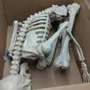 JOYIN 5 FT Halloween Skeleton Life Size, Stayable Posable Skeleton Decor, Full Body Movable Joints Giant Skeletons for Halloween Decoration Outdoor, Haunted House Prop, Spooky Scary Graveyard Party (White, M)