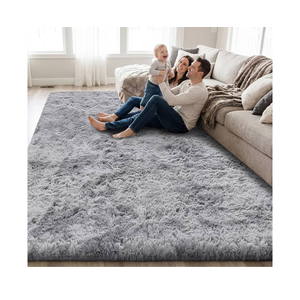 5x8 Light Grey Area Rugs Modern Home Decorate Soft Fluffy Carpets for Living Room Bedroom Kids Room Fuzzy Plush Non-Slip Floor Area Rug Fluffy Indoor Carpet