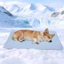 Cooling Blanket for Dogs - Q-MAX>0.4 Waterproof Pet Throw Blanket Bed Cover, Non-Slip Dog Blankets for Couch Protector, Washable Furniture Cover for Summer, Blue,30x40