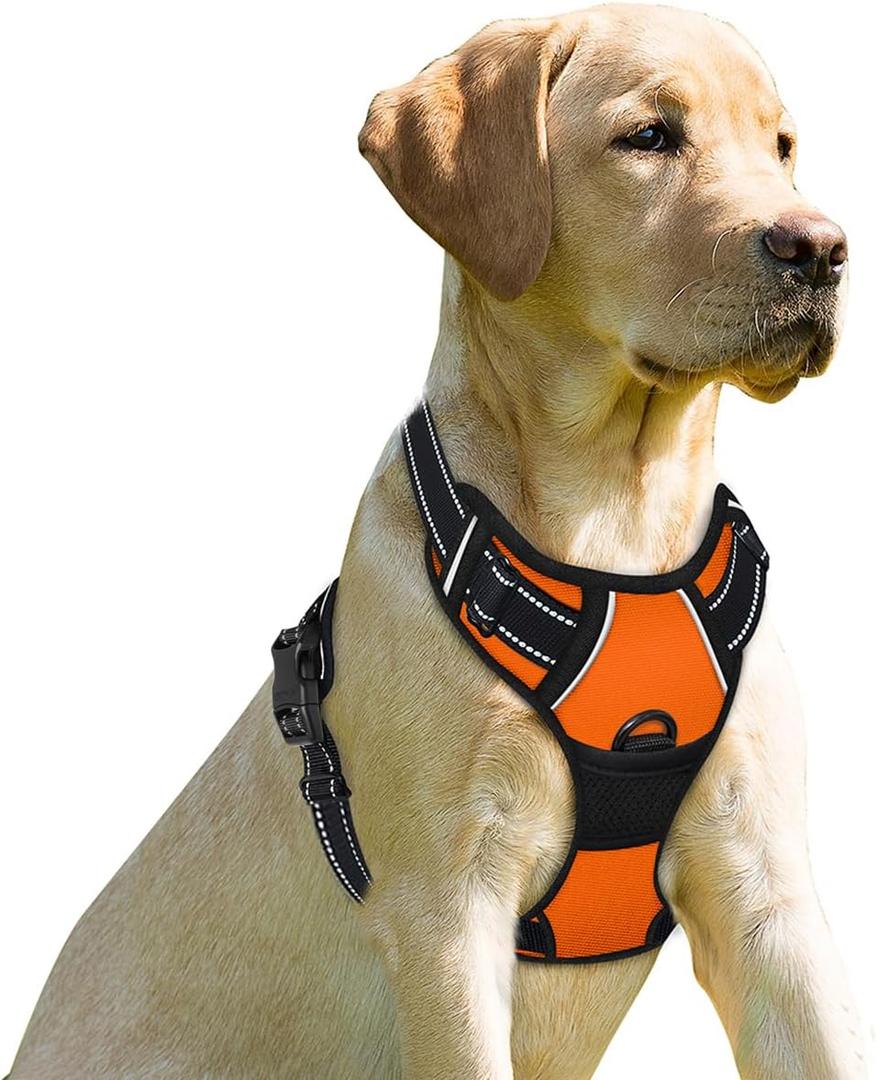 BARKBAY No Pull Dog Harness Front Clip Heavy Duty Reflective Easy Control Handle for Large Dog Walking(Orange,XS) (X-Small(Chest:15.5-19.5))