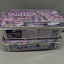 Clorox Scentiva Disinfecting Wet Mop Pad, Disposable Heads, Multi-Surface Floor Wipes, Lavender and Jasmine, 2 Packs, 24 Refills Per Pack