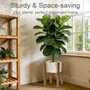Natural Bamboo Plant Stand Indoor, Adjustable Plant Shelf Indoor Fits 8-12 Inch Pots, Mid Century Modern Decor to Refresh Your Space(Pot & Plant Not Included)