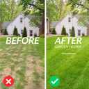 Walensee Lawn Aerator Spike Metal Manual Dethatching Soil Aerating Lawn with 15 Iron Spikes, Pre-Assembled Grass Plug Aerator Tools for Yard, Lawn Aeration, Garden Tool, Revives Lawn Health, Patented