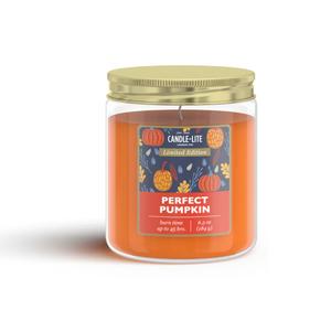 PERFECT PUMPKIN 6.5OZ JAR CANDLE