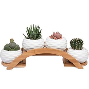 Succulent Pots and Stand Set, Ceramic White Succulent Planter Pot with Drainage, Pack of 4, Cute Office Garden Indoor Decoration, Plants Not Included