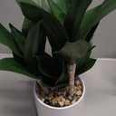 Hollyone Large Artificial Agave Plants Fake Three-Head Agave Succulent Plant Potted 15" Faux Plant in White Pot Succulent Aloe Plant Indoor for Desk Modern Home Decor