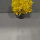 Rose Silk Flower Arrangement Artificial Vivid Rose in Glass Vase with LED Light Elegant Centerpiece for Home Wedding Bathroom Table Shelf Decoration (Yellow)