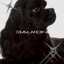 Professional Coarse + Fine 5-in-1 Clipper Blades (2-Pack) for 580 Series  Adjustable 0.62.8mm Detachable Metal Blades, Wahl Compatible, Steel Comb Ready