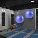 Medicine Ball Rack - Wall Mount Stability Ball Storage Rack(1 Black)