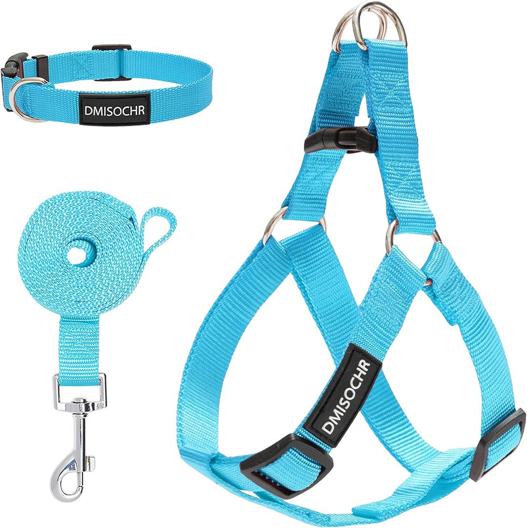 No Pull Dog Harness - Adjustable Step-in Harness & Leash Set for Small, Medium, Large Dogs - Escape Proof Soft Pet Harness for Walking, Training, Hiking, Outdoor Activities (LARGE (chest: 23.4"-31" neck: 14"-20" ), Light Blue)