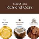 2 x Car Air Freshener Natural Essential Oil Scent, Car Odor Eliminator and Purifier, Vent Clip Air Freshener for Car (Starter/Coconut)