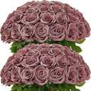 LATRORA 100 Pcs Artificial Roses Bulk Silk Dusty Rose Roses for Wedding Centerpieces Bridal Bouquet Mohter's Day Valentine's Day Floral Arrangement Event Party Home Decor