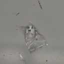 Elbow Valve Latch Swivel Screw Lock Holder Compatible with Shark NV500 NV501 NV502 NV552,etc.(Rear Hose Swift Valve and Latch Lock The Elbow onto The Vacuum Cleaner Body)