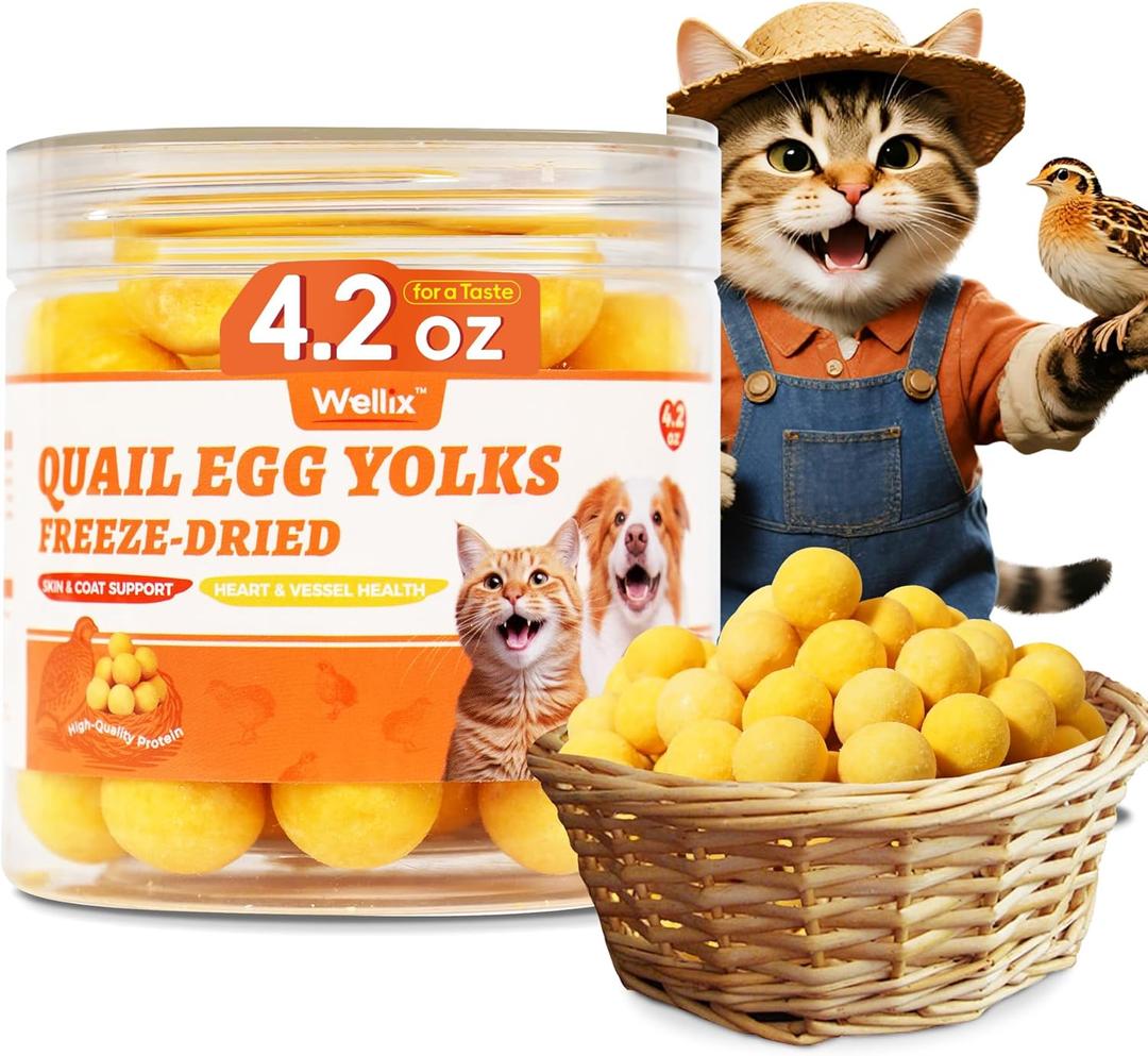 Wellix Freeze Dried Quail Eggs for Cats&Dog Treats - High-Protein Quail Egg Yolk Freeze Dried Cat Treats for Skin&Coat Health - Delicious Training Snacks for Pets 4.2oz (EXP 01/04/27)