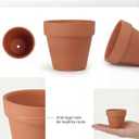 Riseuvo 32pcs 2" Small Mini Terracotta & Clay Pot Planter - Cactus Flower Nursery Terra Cotta Pots with Drainage, Perfect for Indoor/Outdoor Plants, Crafts