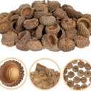 3 x Angoily Natural Acorn Shells 50Pcs 0.78In Dried Acorn Craft Decorations for Autumn Wedding Christmas Tree Photo Props Home Party Hanging Ornaments