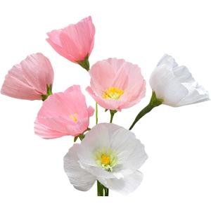 Mybbshower Crepe Paper Flower DIY Making Kit, Icelandic Poppy, Assorted Colors Blush Pink Cream 24 Count