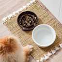 LE TAUCI Ceramic Slow Feeder Dog Bowls Small Breed, 0.6 Cups Dog Food Dish for Fast Eaters, Puzzle Bowl for Small Dogs and Cats,Purple