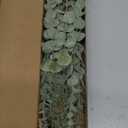 Tiyard 18pcs Eucalyptus Stems Artificial Eucalyptus Leaves Stems Artificial Fake Flowers for Home Office Flowers Bouquet Centerpiece Wedding Decoration Christmas Decor 2025