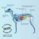 Replenish Dog Recovery Water Supplement  Pedialyte for Dogs Hydration Drink & Water Additive - Electrolytes for Dogs Hydration Supplement  10 Packets Count