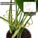 3 x 6PCS Monstera Plant Stem Support , Monstera Stabilizer Grapple Holder Unique Design for Turtle Shell Bamboo Clamp Set, Ideal Plant Support Stakes for Thriving Growth Indoor Climbing Plant (Gold)